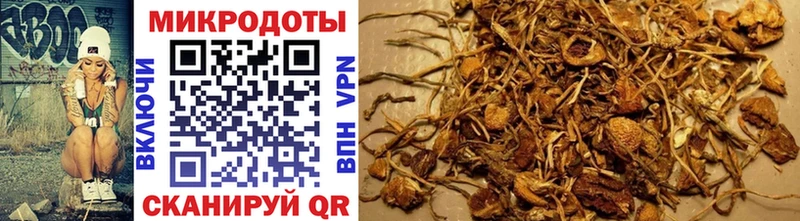 Псилоцибиновые грибы MAGIC MUSHROOMS Апатиты